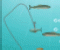 Shoot Fish - Jeu Tir