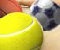 Ma Balls - Jeu Sports