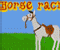 Horse Racin - Jeu Sports 