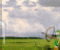 Balloon Hunter - Jeu Statégie
