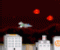 Night Raptor - Jeu Action