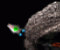FlashWars - Jeu Action