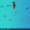 dc8p Fishwater Challenge - Jeu Sports