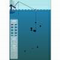 Fishing the Sea - Jeu Arcade