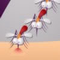 Kill Mosquito - Jeu Tir