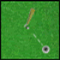 Amazing Golf - Jeu Sports 