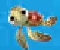 Crusin With Crush - Jeu Aventure