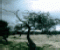 Before The Storm - Jeu Puzzle